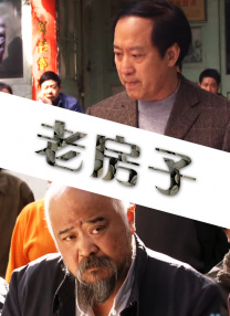 正义联盟2成版电影